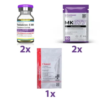 BEGINNER BULK CYCLE